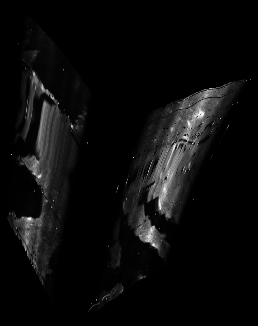ascat_grayscale_proj_backward.png